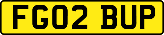 FG02BUP
