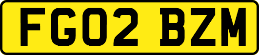 FG02BZM