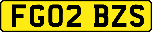 FG02BZS