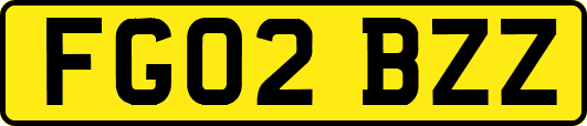 FG02BZZ