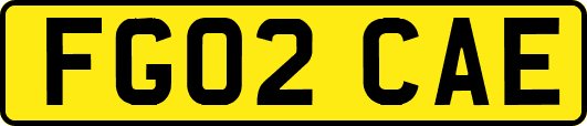 FG02CAE