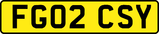 FG02CSY