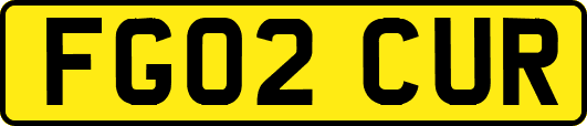 FG02CUR