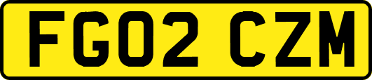 FG02CZM