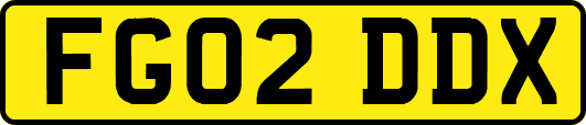 FG02DDX
