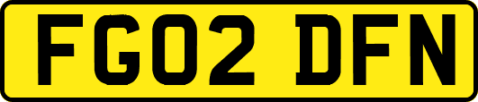 FG02DFN