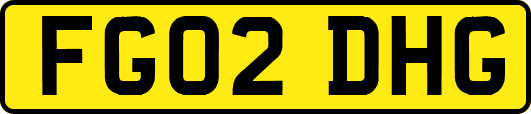 FG02DHG