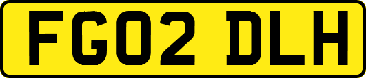 FG02DLH