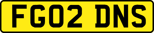 FG02DNS