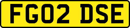 FG02DSE