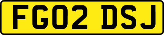 FG02DSJ