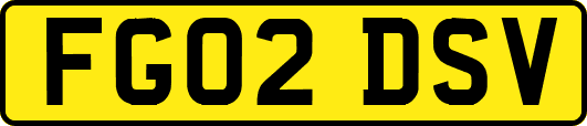 FG02DSV