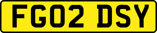 FG02DSY