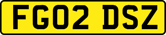 FG02DSZ
