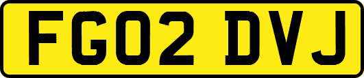 FG02DVJ