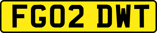 FG02DWT