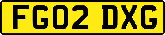 FG02DXG