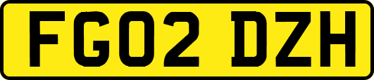 FG02DZH