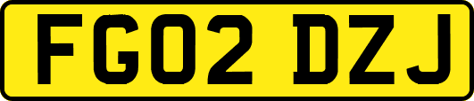 FG02DZJ