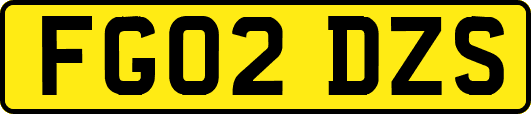 FG02DZS