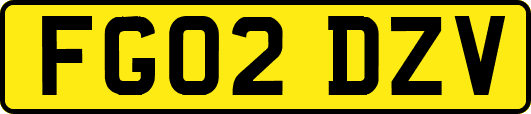 FG02DZV