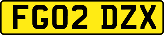 FG02DZX
