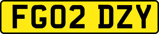 FG02DZY