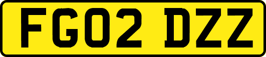 FG02DZZ