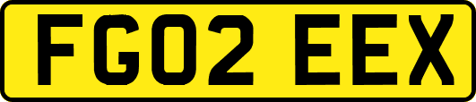 FG02EEX