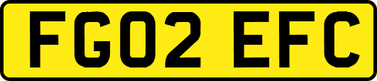 FG02EFC