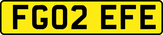 FG02EFE