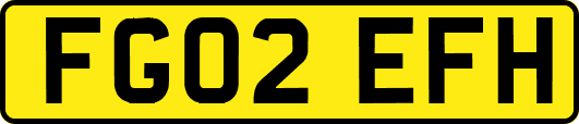 FG02EFH