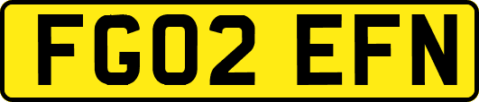FG02EFN