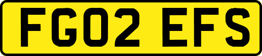 FG02EFS