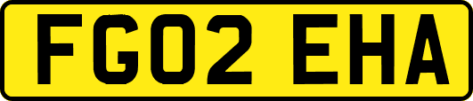 FG02EHA