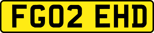 FG02EHD