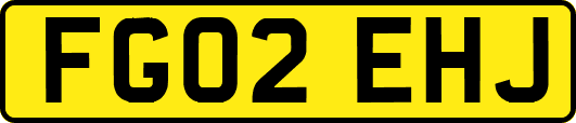 FG02EHJ