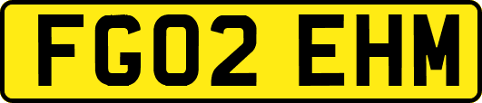 FG02EHM