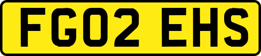 FG02EHS
