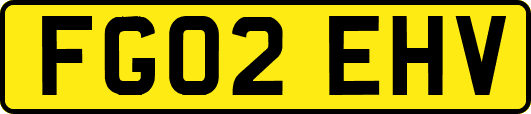 FG02EHV