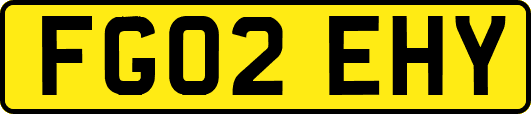 FG02EHY