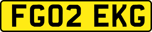 FG02EKG