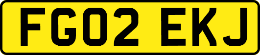 FG02EKJ