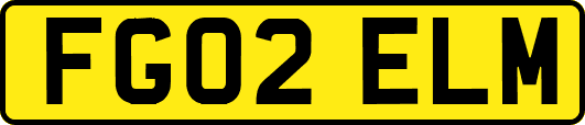 FG02ELM