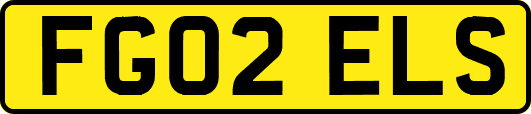 FG02ELS