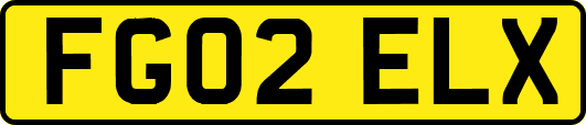 FG02ELX