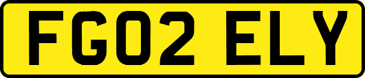 FG02ELY