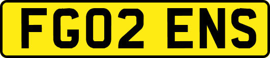 FG02ENS
