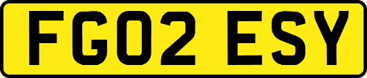 FG02ESY