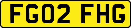 FG02FHG